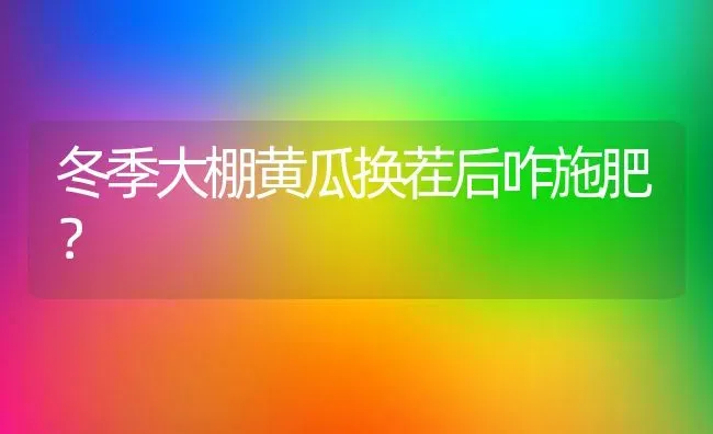 冬季大棚黄瓜换茬后咋施肥？ | 种植肥料施肥