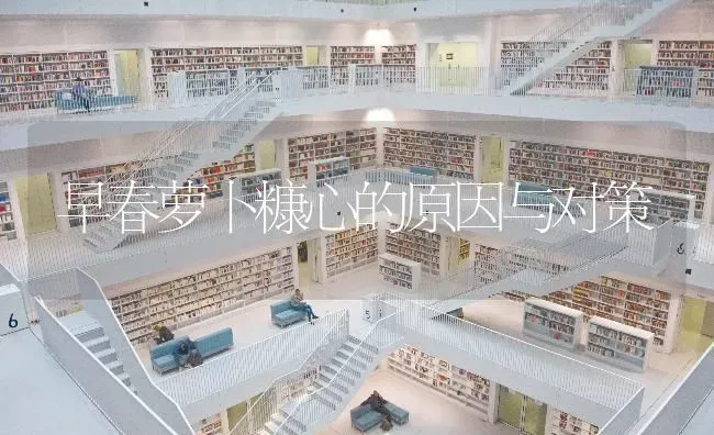 早春萝卜糠心的原因与对策 | 蔬菜种植