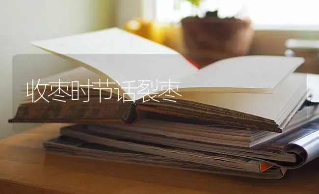 收枣时节话裂枣 | 瓜果种植