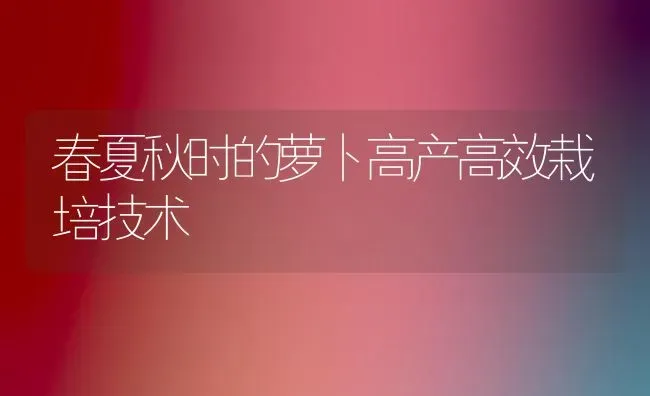 春夏秋时的萝卜高产高效栽培技术 | 蔬菜种植
