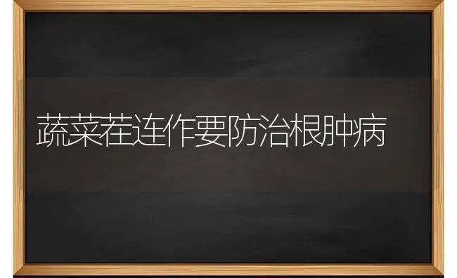 蔬菜茬连作要防治根肿病 | 蔬菜种植