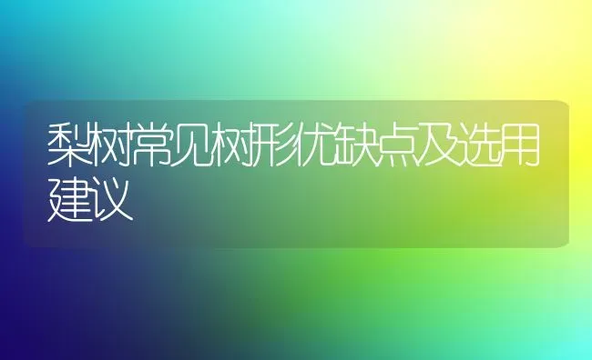 梨树常见树形优缺点及选用建议 | 瓜果种植