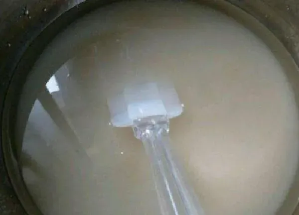 植物浇水|白糖可以浇花吗