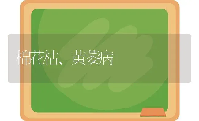 棉花枯、黄萎病 | 粮油作物种植