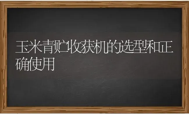 玉米青贮收获机的选型和正确使用 | 粮油作物种植