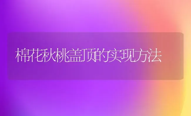 棉花秋桃盖顶的实现方法 | 粮油作物种植