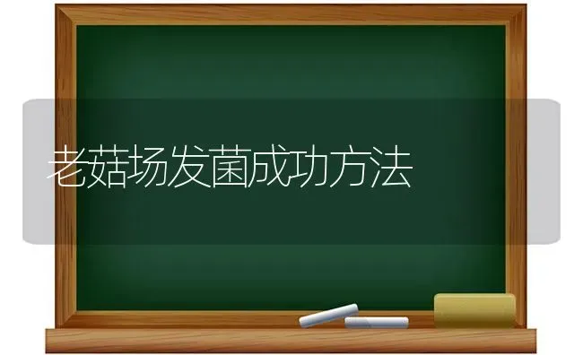 老菇场发菌成功方法 | 食用菌种植
