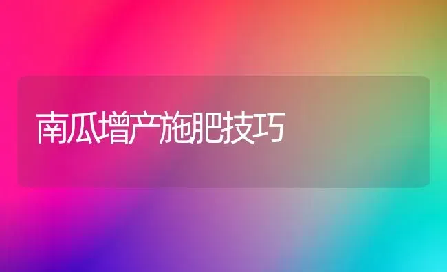 南瓜增产施肥技巧 | 种植肥料施肥