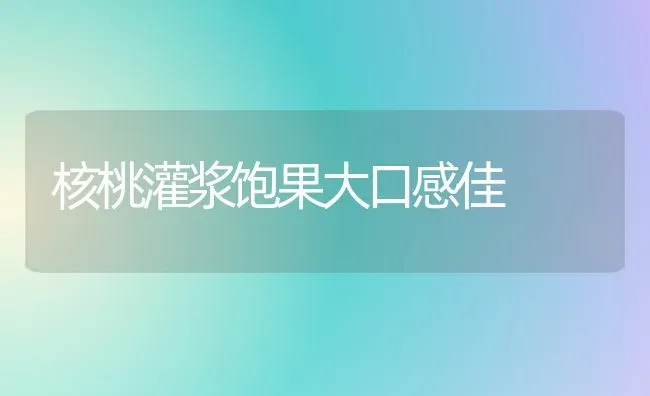 核桃灌浆饱果大口感佳 | 瓜果种植