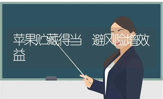 苹果贮藏得当 避风险增效益 | 瓜果种植