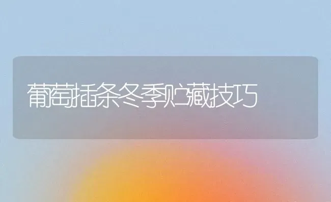 葡萄插条冬季贮藏技巧 | 瓜果种植