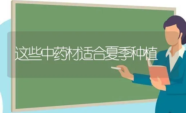 这些中药材适合夏季种植 | 药材种植