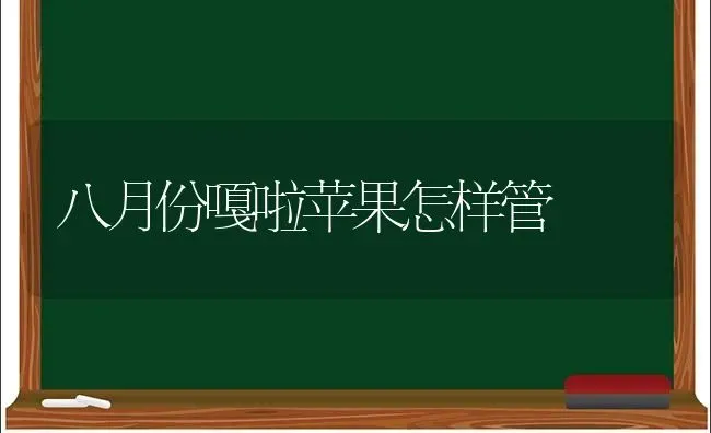 八月份嘎啦苹果怎样管 | 瓜果种植