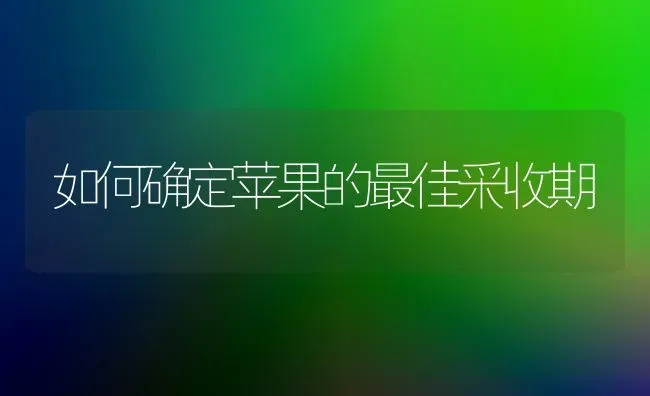 如何确定苹果的最佳采收期 | 瓜果种植