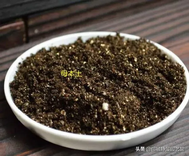 种植土壤|自制营养土的配制方法（超简单的种花营养土制作方法）
