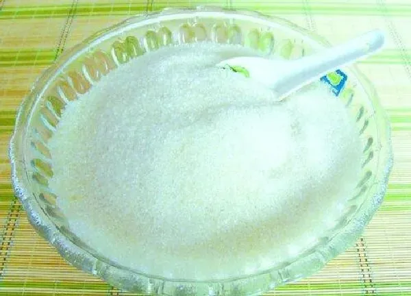 植物浇水|白糖可以浇花吗