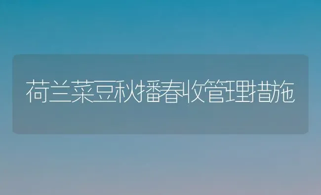 荷兰菜豆秋播春收管理措施 | 蔬菜种植