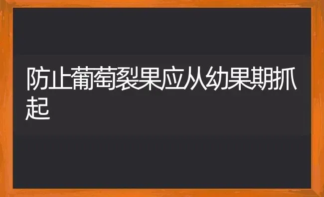 防止葡萄裂果应从幼果期抓起 | 瓜果种植