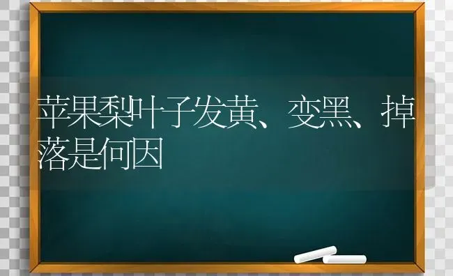 苹果梨叶子发黄、变黑、掉落是何因 | 瓜果种植