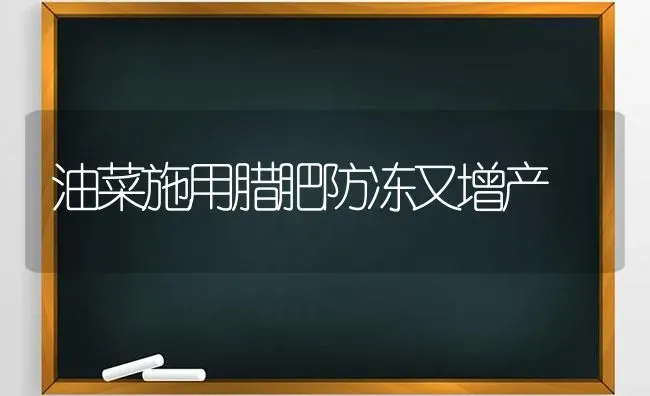 油菜施用腊肥防冻又增产 | 粮油作物种植