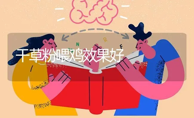 干草粉喂鸡效果好 | 瓜果种植