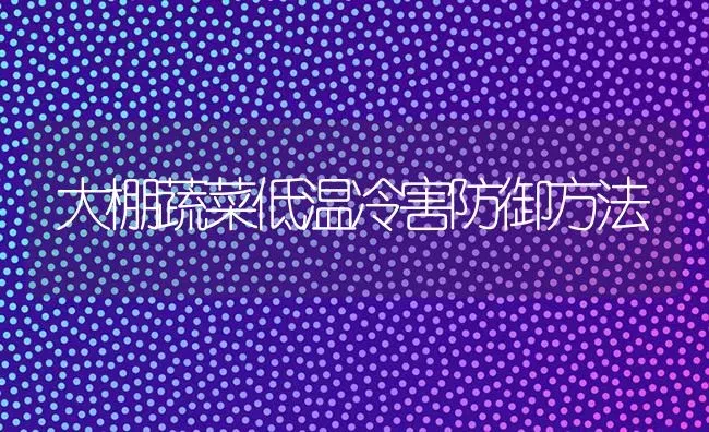 大棚蔬菜低温冷害防御方法 | 蔬菜种植
