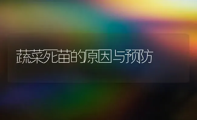 蔬菜死苗的原因与预防 | 蔬菜种植