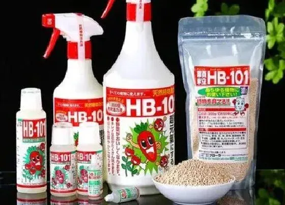 植物百科|活力素对植物的作用 hb101植物活力素成分与使用