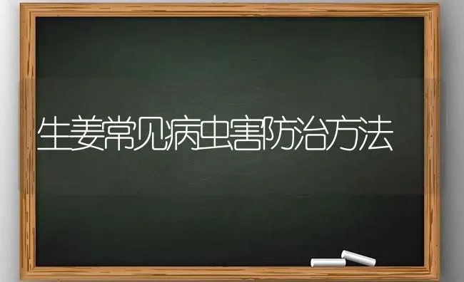 生姜常见病虫害防治方法 | 种植病虫害防治