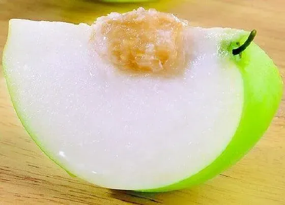 植物产地|宁波盛产什么水果