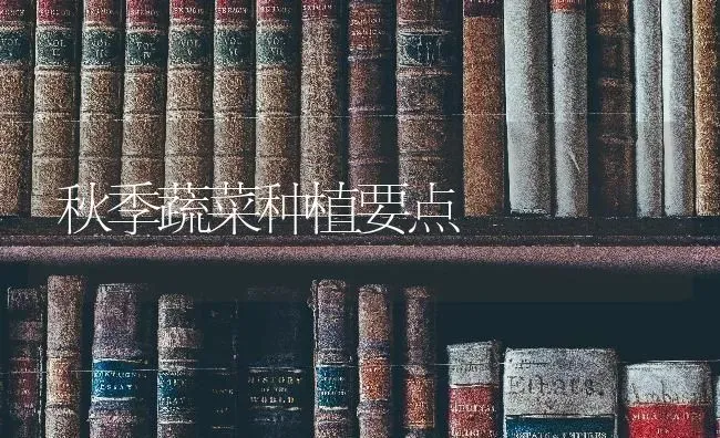 秋季蔬菜种植要点 | 蔬菜种植