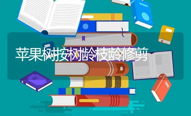苹果树按树龄枝龄修剪 | 瓜果种植