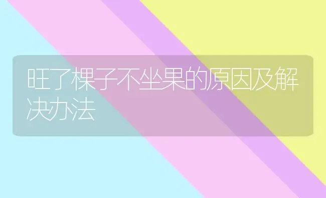 旺了棵子不坐果的原因及解决办法 | 瓜果种植