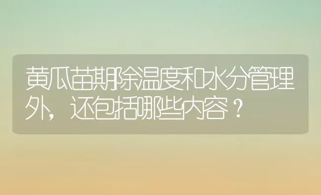 黄瓜苗期除温度和水分管理外，还包括哪些内容？ | 蔬菜种植