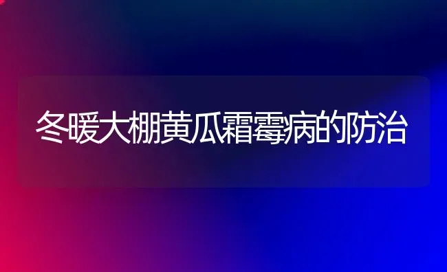 冬暖大棚黄瓜霜霉病的防治 | 蔬菜种植