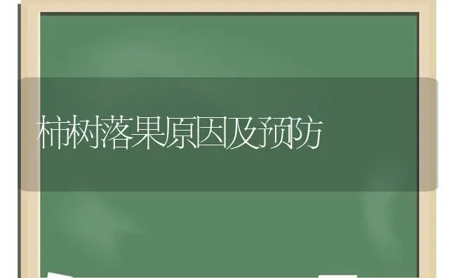 柿树落果原因及预防 | 瓜果种植