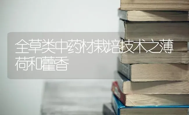 全草类中药材栽培技术之薄荷和藿香 | 药材种植
