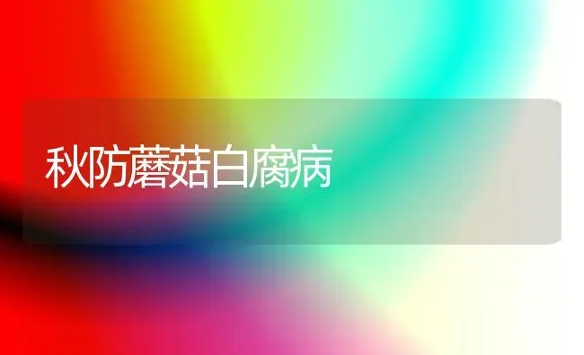 秋防蘑菇白腐病 | 食用菌种植