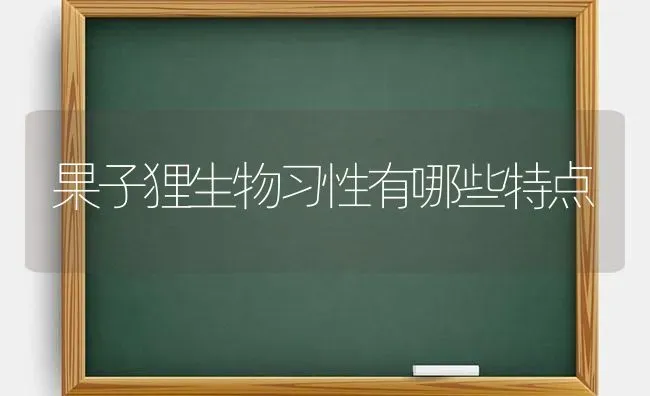 果子狸生物习性有哪些特点 | 瓜果种植