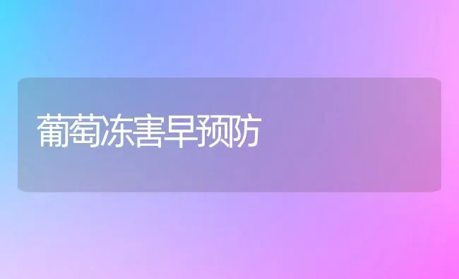 葡萄冻害早预防 | 瓜果种植