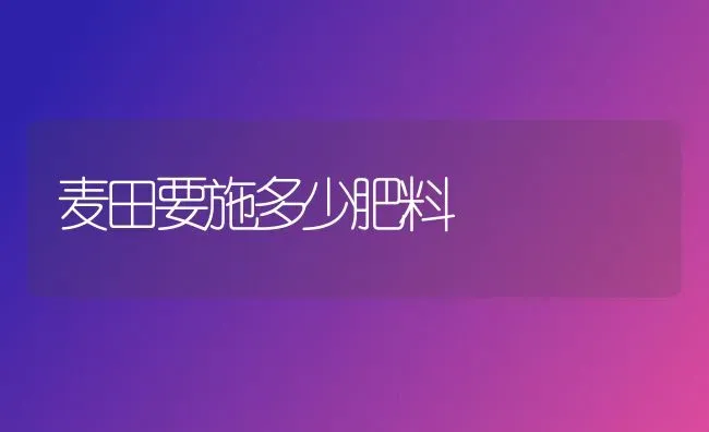 麦田要施多少肥料 | 种植肥料施肥