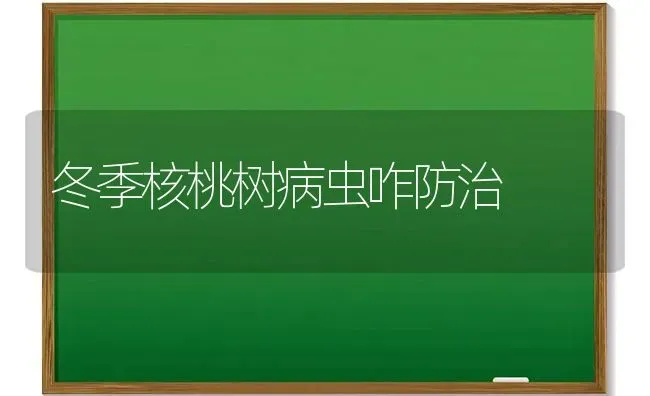 冬季核桃树病虫咋防治 | 瓜果种植