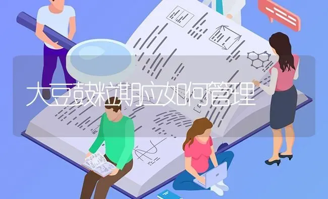 大豆鼓粒期应如何管理 | 粮油作物种植