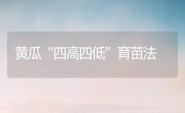 黄瓜“四高四低”育苗法 | 蔬菜种植