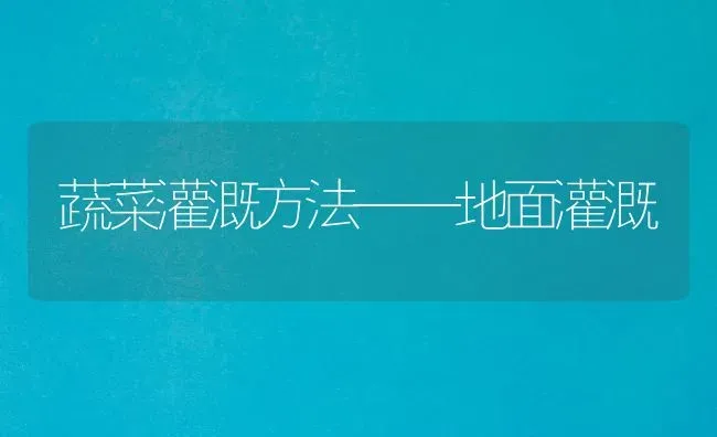 蔬菜灌溉方法——地面灌溉 | 蔬菜种植