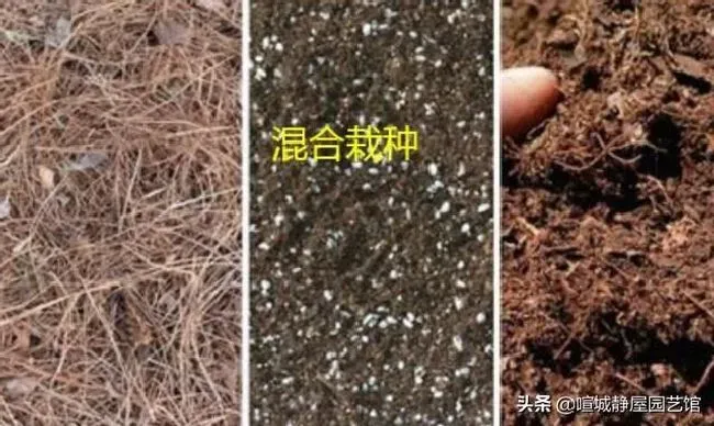 种植土壤|自制营养土的配制方法（超简单的种花营养土制作方法）