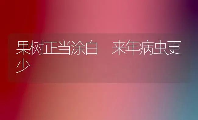 果树正当涂白 来年病虫更少 | 瓜果种植