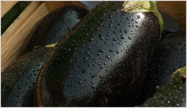 茄子苗上有虫子怎么办 | 养殖技术