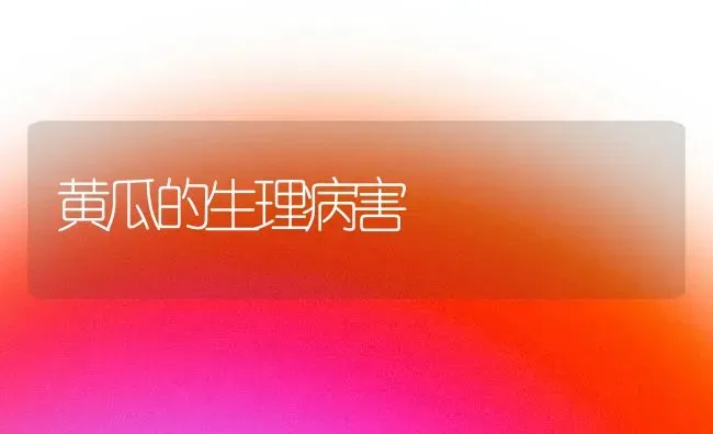 黄瓜的生理病害 | 蔬菜种植