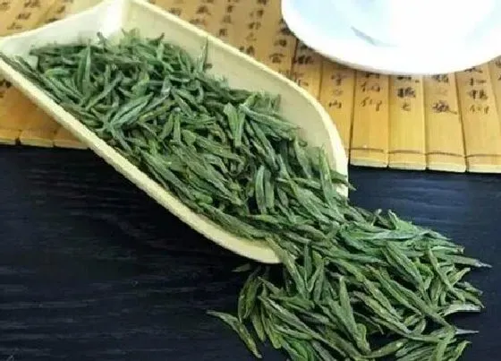 食用常识|紫笋茶属于什么茶